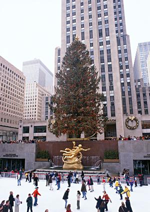 白馬で観光するならこちらがおすすめです